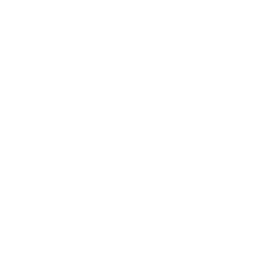 White heart icone