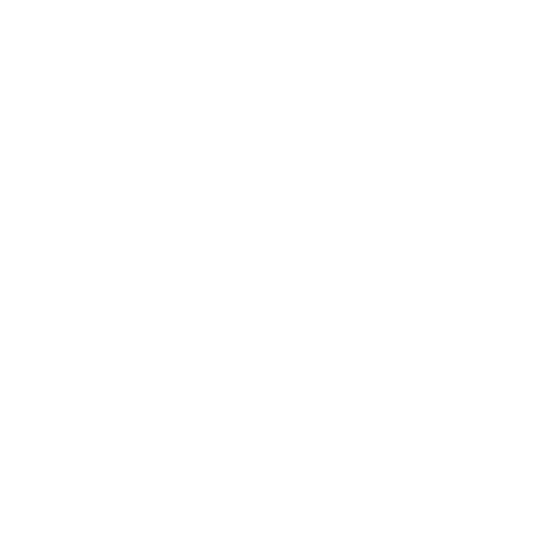 bow tie icon