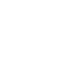 magnifying glass icon