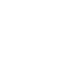 checklist magnifying glass icon