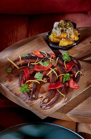 plate of grilled octopus