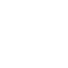 magnifying glass icon