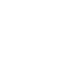 star steps icon