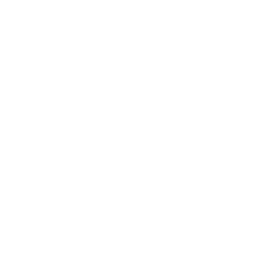 smartphone star icon