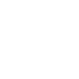 light bulb icon